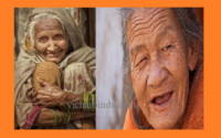 Importance Of The Elderly